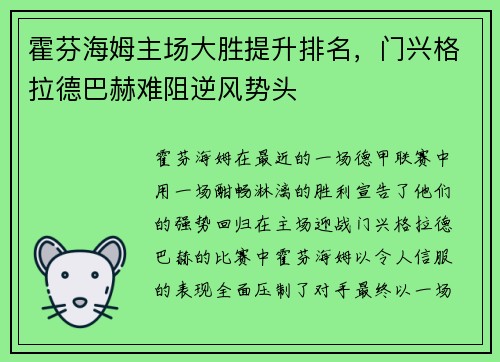 霍芬海姆主场大胜提升排名，门兴格拉德巴赫难阻逆风势头