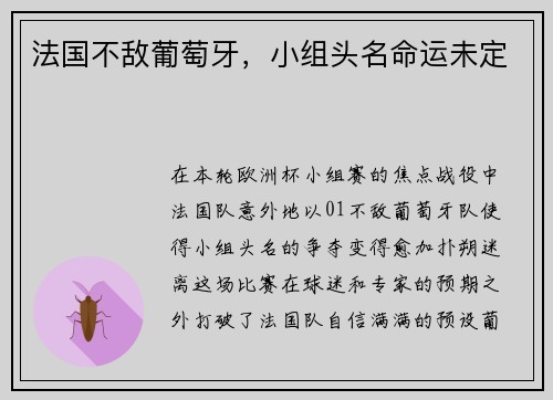 法国不敌葡萄牙，小组头名命运未定